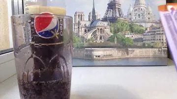Pepsi dark vanilla и милка из Бельгии