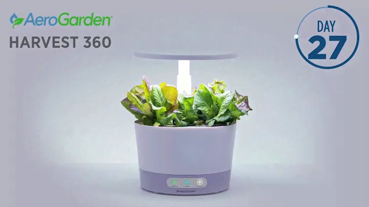 AeroGarden - Harvest 360 White Heirloom Salad Greens Timelapse